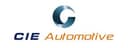 Forjas de Celaya, S.A. de C.V. logo