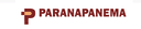 Paranapanema SA - em Recuperacao Judicial logo
