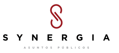 Servicios Jurídicos y Asesoria Política Integral, S.C. logo
