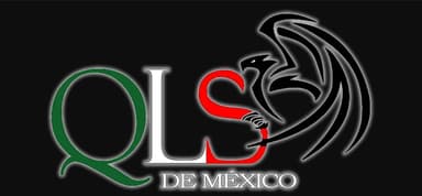 Quality Liaison Solutions Mex, S.A. de C.V. logo