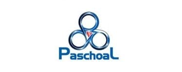 Metalurgica Paschoal Ltda logo