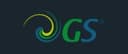 GS de México, S. de R.L. de C.V. logo