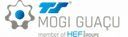 TS Mogi Guacu Servicos Ltda logo