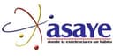 Asaye Servicios Electromecánicos, S. de R.L. de C.V. logo