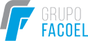 FACOEL ARGENTINA S.R.L. logo