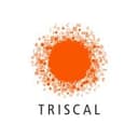 Triscal Consultoria e Tecnologia Ltda logo