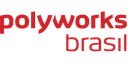 Polyworks Brasil Solucoes em Metrologia 3D Ltda logo