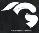Grupo Brima-Proseg, S.A. de C.V. logo