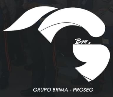 Grupo Brima-Proseg, S.A. de C.V. logo