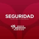 Gobierno del Estado de México logo
