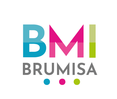 Brumisa, S.A. de C.V. logo
