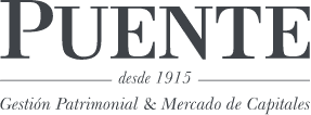 Puente Servicios de Inversion, S.A. logo