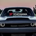 Yokohama Industries Américas de México, S. de R.L. de C.V. logo