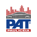 Pat Pauliceia Auto Tecnica Ltda logo