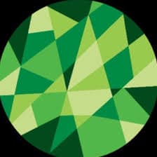 Peter Valicek Gems Comercio e Exportacao Ltda logo
