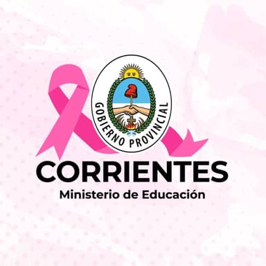 MINISTERIO DE EDUCACION DE CORRIENTES logo