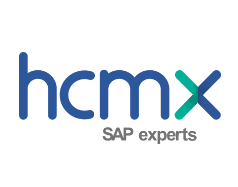 HCMX It Solucoes em Tecnologia da Informacao Ltda logo